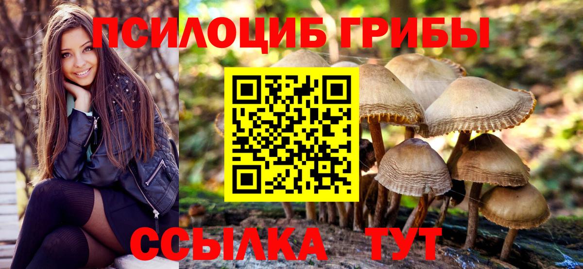 Галлюциногенные грибы прущие грибы  Галлюциногенные грибы ЛСД  Вход с VPN  где продают   Петропавловск-Камчатский 