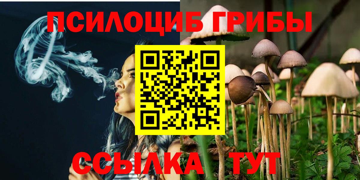 Псилоцибиновые грибы мицелий Петропавловск-Камчатский